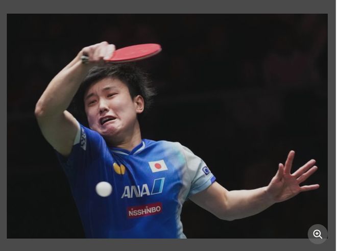 法国队力克波兰队,张本智和刷新纪录 法国队力克波兰队,张本智和刷新纪录