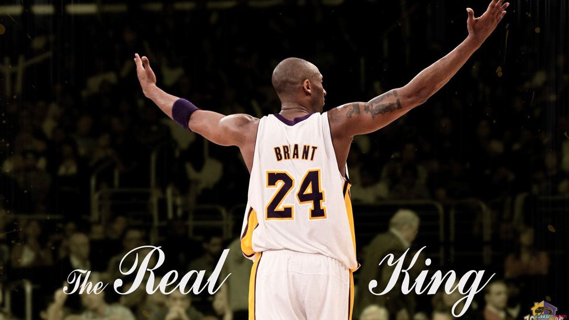 孤注一掷的荣耀，开拓者抢七踏平奇才，书写命运唯一战